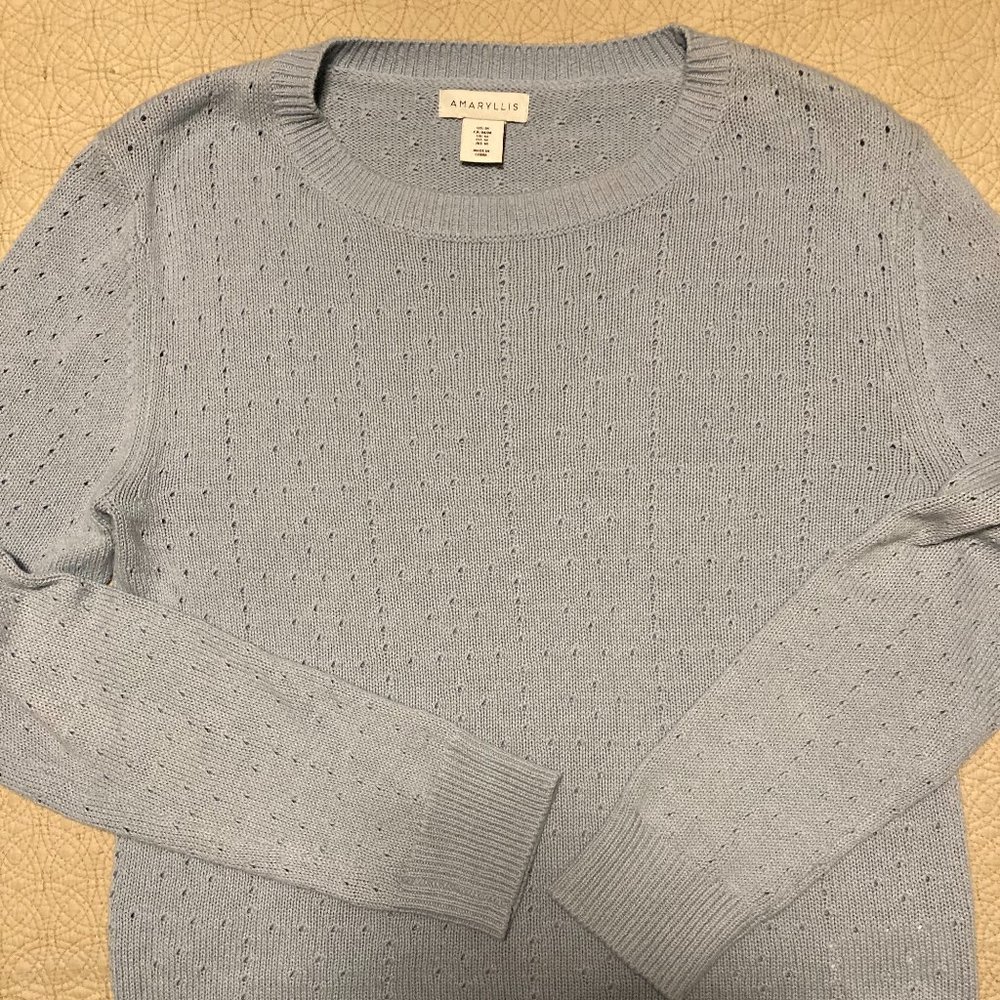 Baby Blue Sweater - EUC